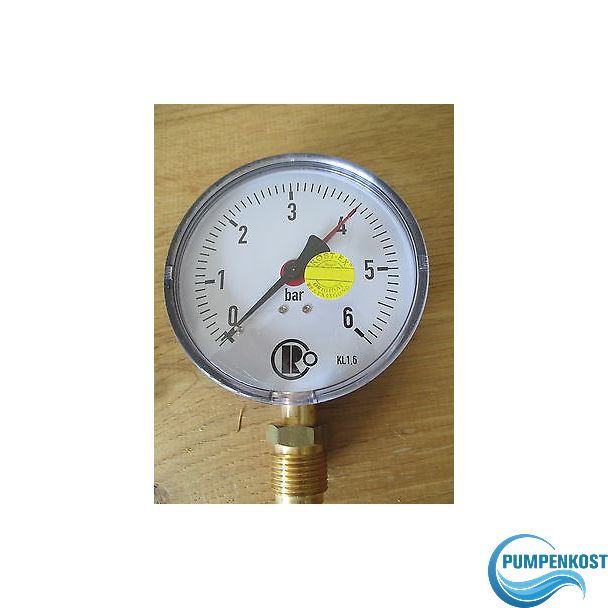 Riegler Manometer  0-6 bar für Wasser und Luft Druckmesser 100 mm S14/51