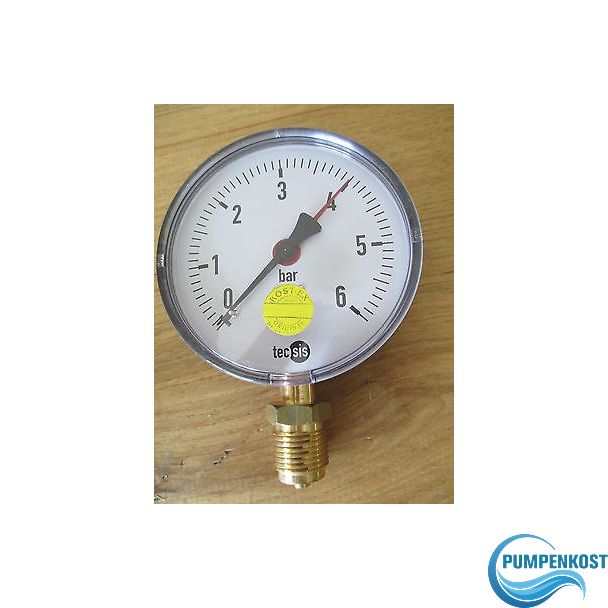 Tecsic  Manometer  0-6 bar für Wasser und Luft Druckmesser 100 mm S14/53