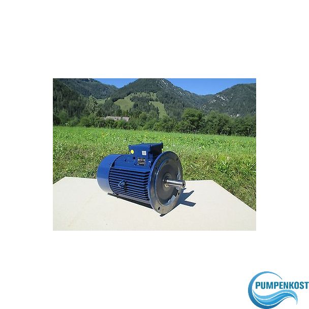  Pumpenmotor ATB AF 132M / 4 / 2D - 11LQ / 0808 YY 690V Polumschaltbar P15/425