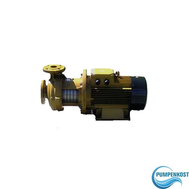 Grundfos DNP 50-200/180  A-F-A-BUBE Kreiselpumpe P13/867