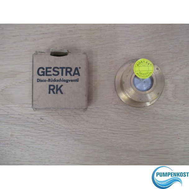 Gestra Disco Rückschlagventil RK 41 ND 6 DN 20 Rückflussverhinderer S15/215