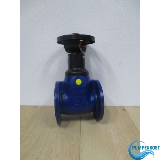 Ari Euro Wedi Absperrhahn DN 65 PN 6 GG 25 Wasserschieber Pumpenkost S16/364