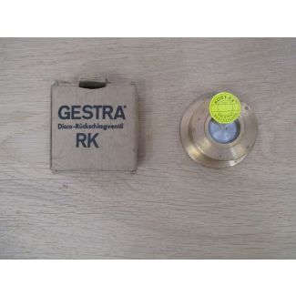 Gestra Disco Rückschlagventil RK 41 ND 6 DN 20 Rückflussverhinderer S15/215