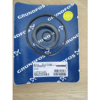 Pumpe Dichtung Grundfos KIT O - Ring CR MAGDRIVE EPDM 96533485 Bestnr. S21/12